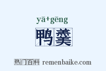 鸭羹是什么意思的图片